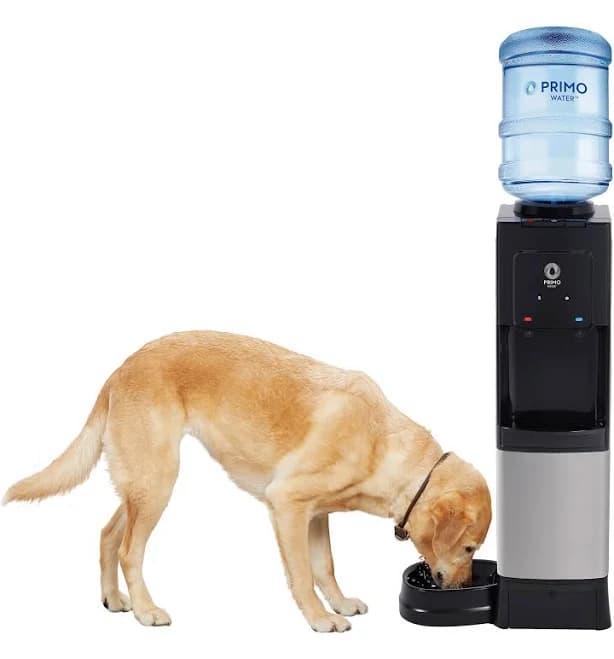 Primo Top Load Stainless Steel Water Cooler with Pet Bowl