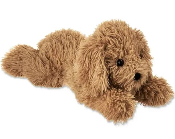 Large Floppy Brown Puppy