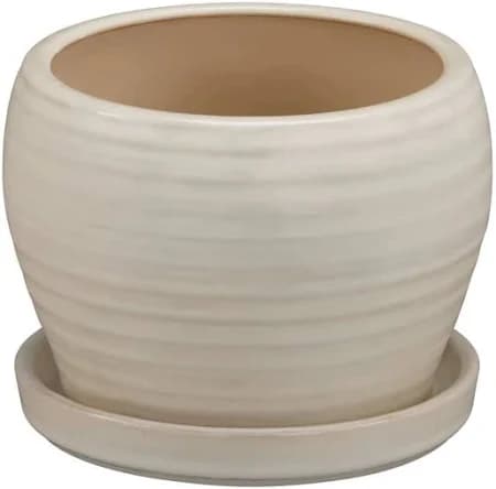 Vigoro Rosalie Planter