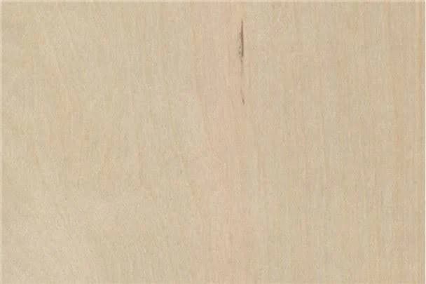 White Birch Plywood Sheets 4X8 Birch White WPF VC