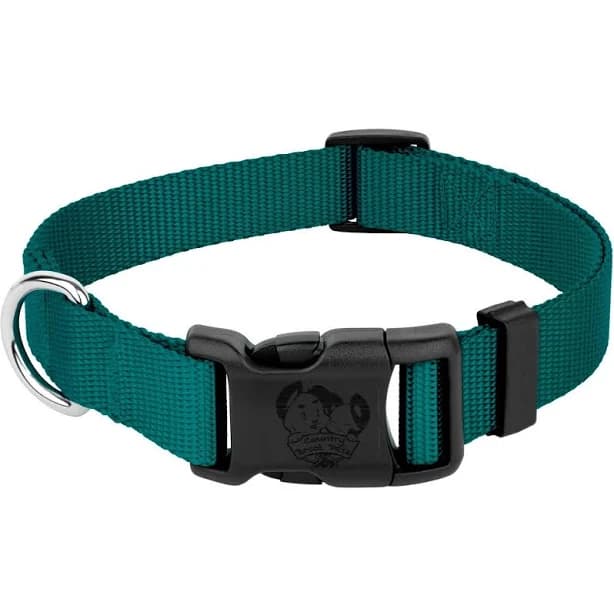 Country Brook Petz Everyday Nylon Dog Collar