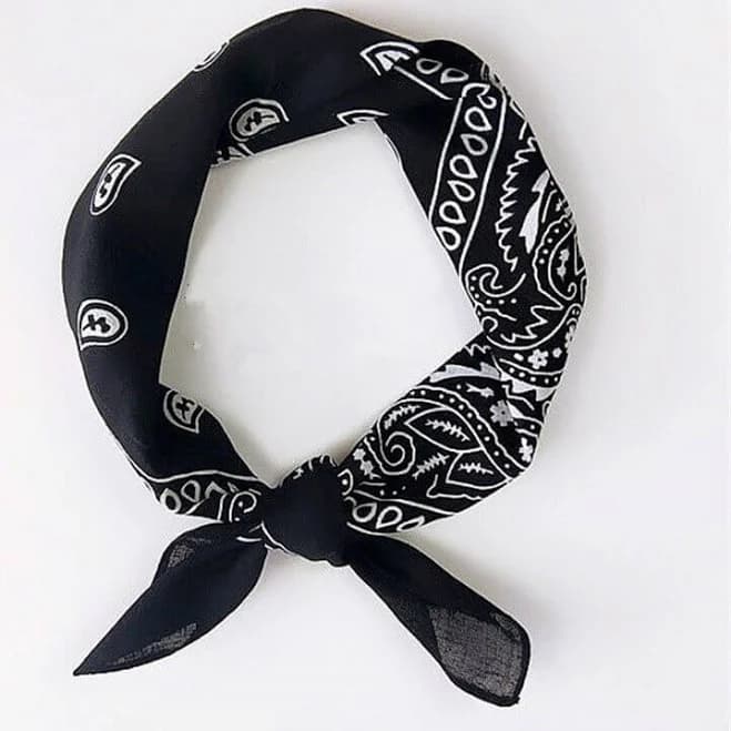 RoyalBandana Paisley Bandana