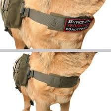 EXCELLENT ELITE SPANKER Dog Pack Hound Dog Saddle Bag Backpack for Travel Camping Hiking Medium & Large Dog with 2 Capacious Side Pockets(RGN) : Buy Online at Best Price in KSA -