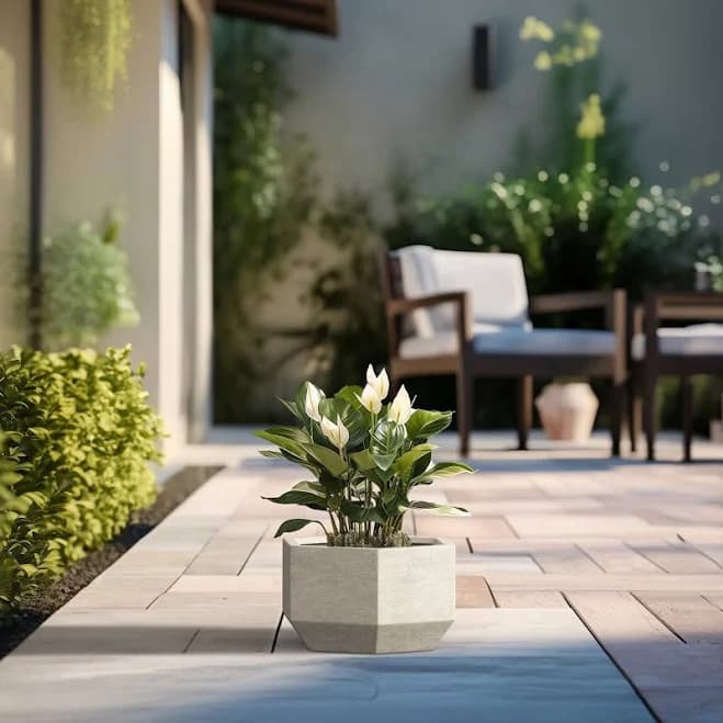 Concrete Geometric Plant Pots