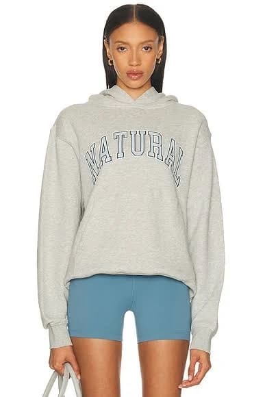 Museum of Peace & Quiet Natural Hoodie Ash