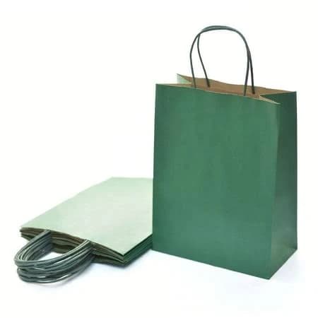 48 Pack Green Gift Bags with Handle