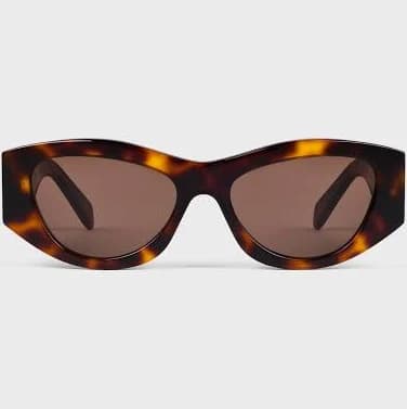 CELINE Women's Triomphe 15 Acetate Sunglasses