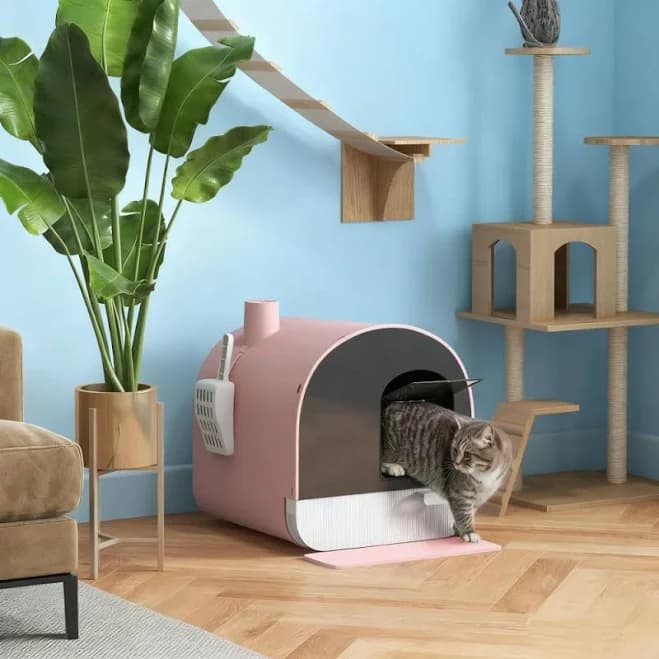 Cat Litter Box Kitten Litter Tray