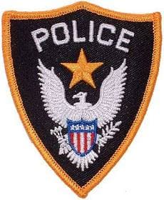 Eagle Emblems Police Emblem Patch