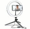 Video frame trigger