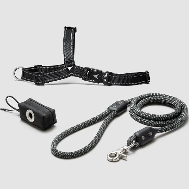 Dog Harness & Leash Set Dogs Leash