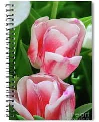 Pink and White Tulips Spiral Notebook
