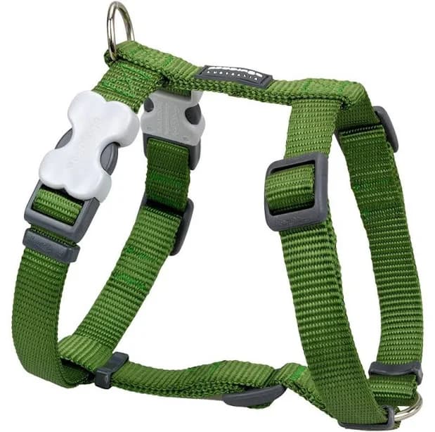 Red Dingo Classic Green Dog Harness