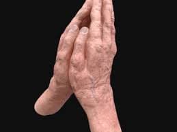 realistic rigged old man hand 3D Model in Anatomy 222803 | 3DExport