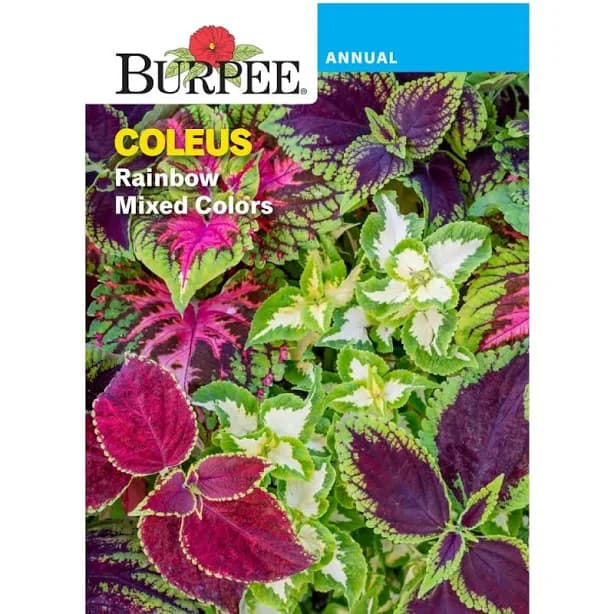 Burpee Coleus Rainbow Mix Seeds