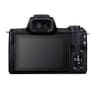 Video frame trigger