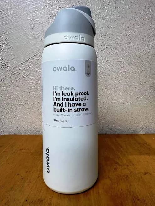Owala 32oz Freesip Stainless Steel Water Bottle Shy Marshmallow