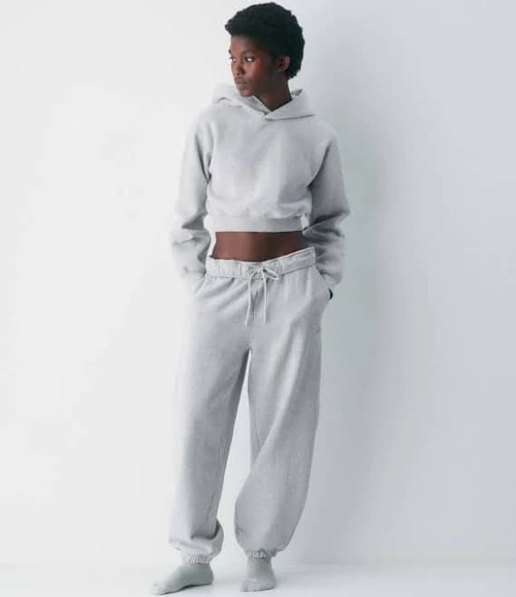 Aritzia Cozy Sweatfleece Perfect Crop Hoodie Sweatshirt in Heather Chrome