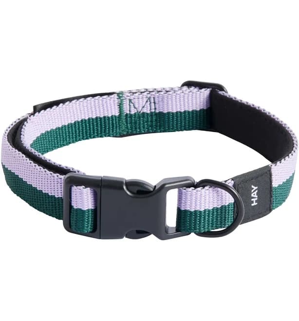 HAY Dogs Collar