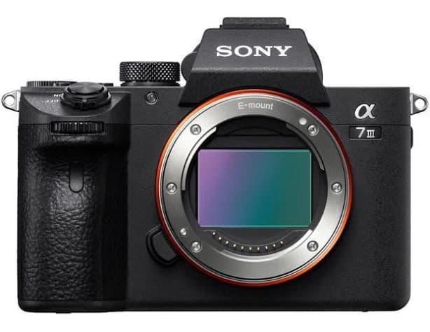 Sony Alpha a7 III Mirrorless Camera Lens
