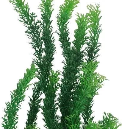 AquariumH2o Green Thin Leaf Artificial Aquarium Plant