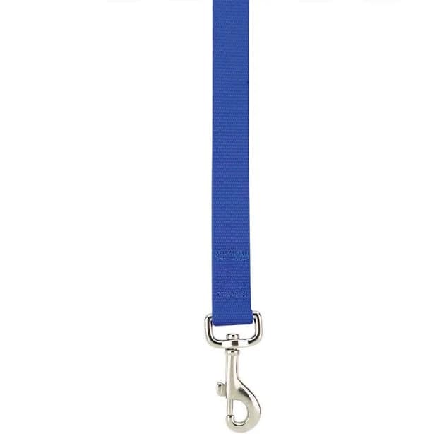 Casual Canine Lead