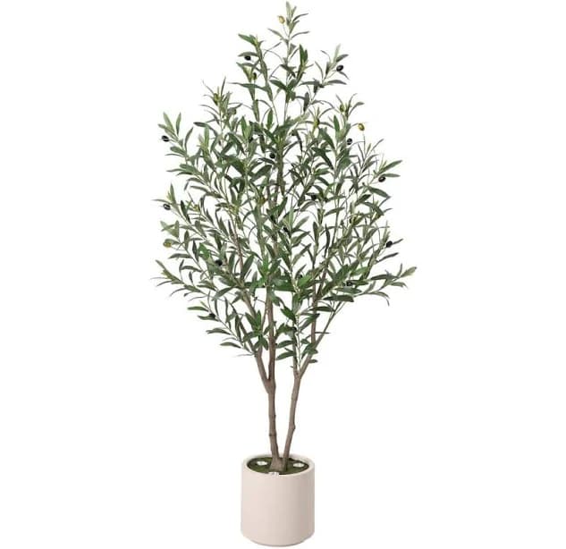 DR. Planzen 5/6FT LED Illuminated Olive Tree with Lights