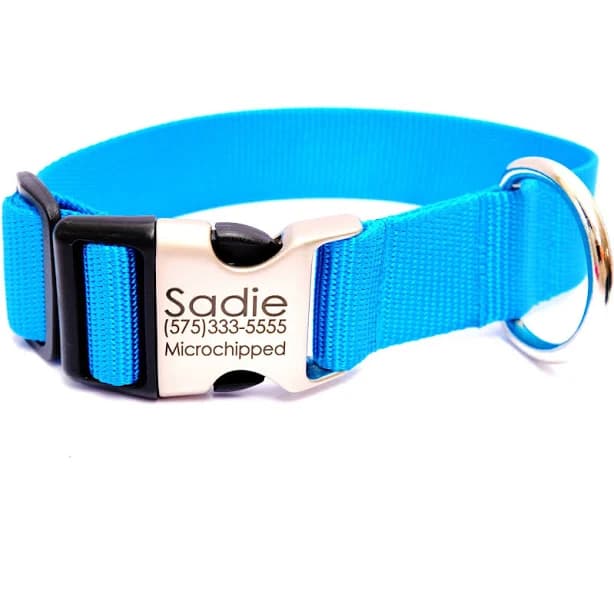 Mimi Green Personalized Dog Collar