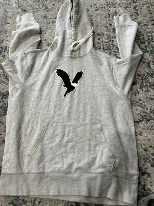 American Eagle Ae Super Soft Gray Graphic Pullover Fleece Hoodie Mens