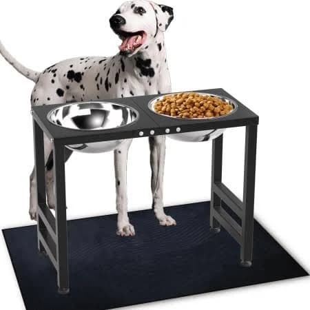 Shainfun Elevated Dog Bowls
