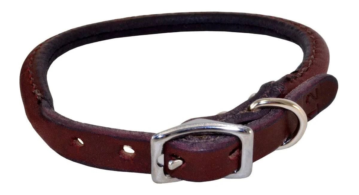Rolled Leather Buckle Dog Collar