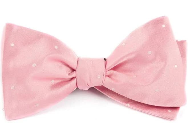 The Tie Bar Men's Satin Bow Tie