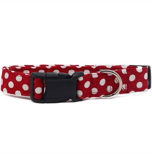 Red and White Polka Dot Dog Collar (Collar: small)