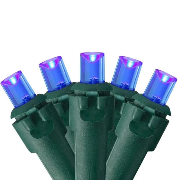 Northlight 50 Blue LED Wide Angle Christmas Lights with Green Wire