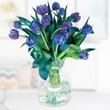 15 Filled Blue Tulips