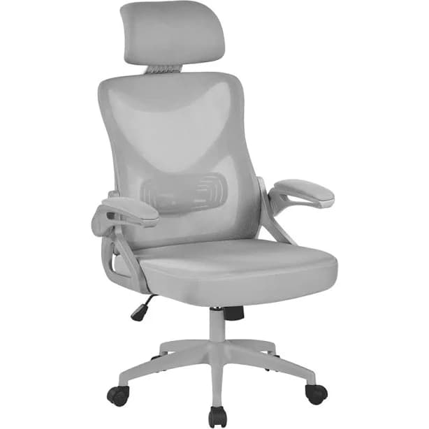 Alden Design Ergonomic Mesh Office Chair