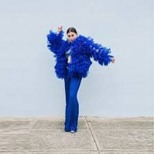 DHgate.com:Elegant Tulle Ruffles Top in Royal Blue, Long Sleeve Formal Blouse for Women:Apparel