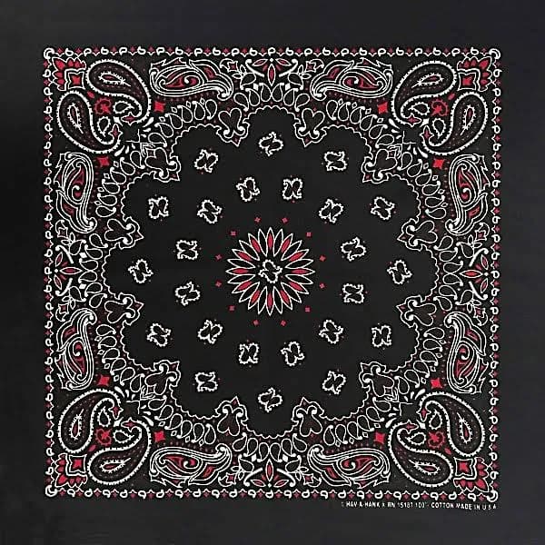 22" x 22" Paisley Bandana