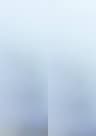 Video frame trigger