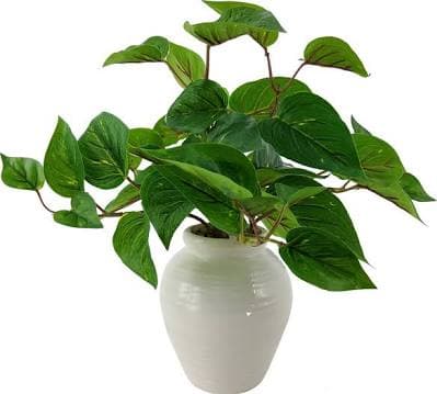 Mainstays 11 Artificial Golden Pothos