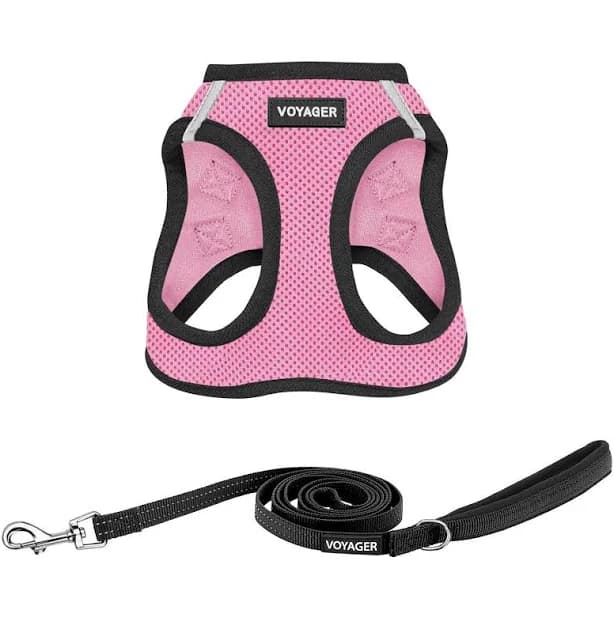 Step in Air Cat Harness and Leash Set
