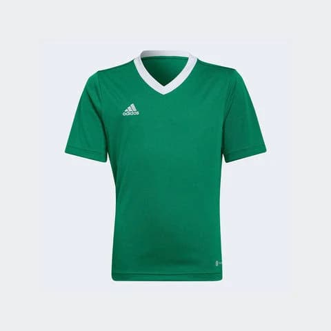 Adidas Youth Entrada 22 Jersey - Green/white