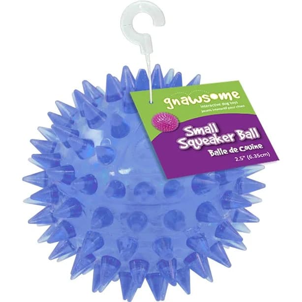 Gnawsome Squeaker Ball Dog Toy
