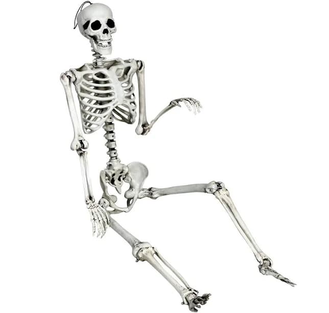 5.4 ft Life Size Realistic Human Bones Halloween Skeleton