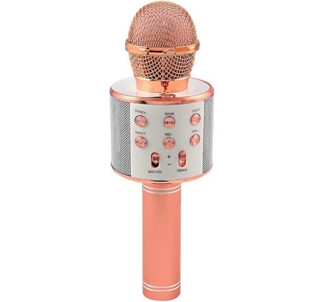 Wireless Bluetooth Karaoke Microphone with Built-in Speaker