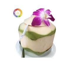 Vietnam Organic Young Coconut - Fresh & Easy to Drink