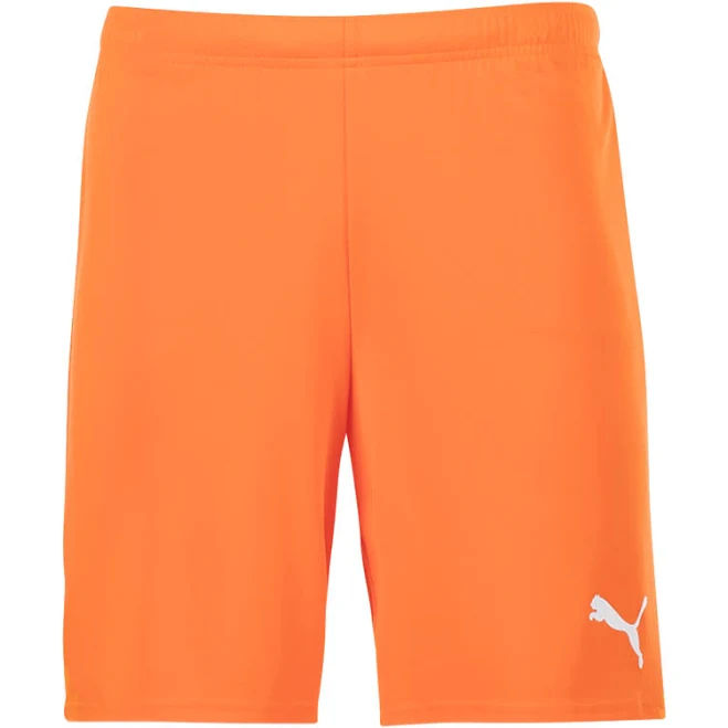 PUMA teamGOAL Shorts