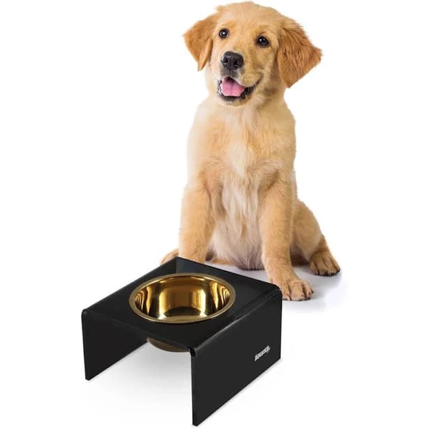 The Licker Store Keaton Modern Acrylic Rectangular Elevated Pet Feeder