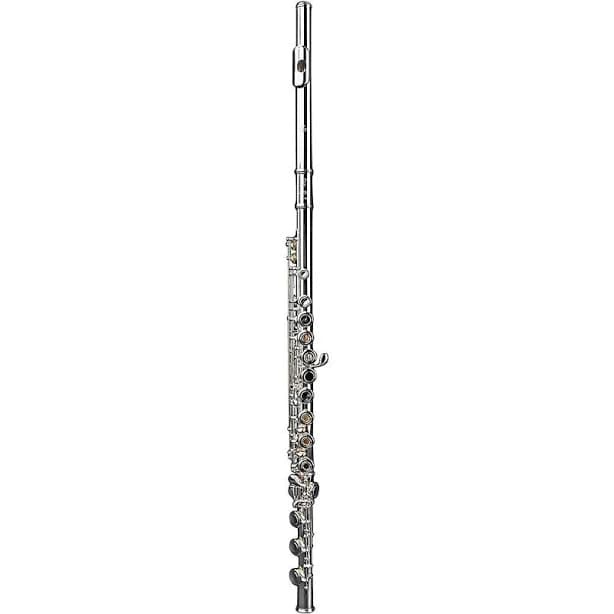 Di Zhao DZ 401 Student Flute
