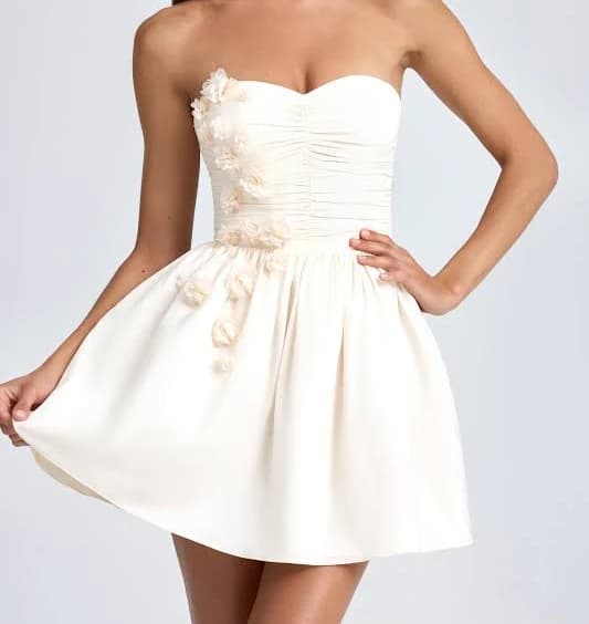 Oh Polly Floral-APPLIqué Corset Mini Dress